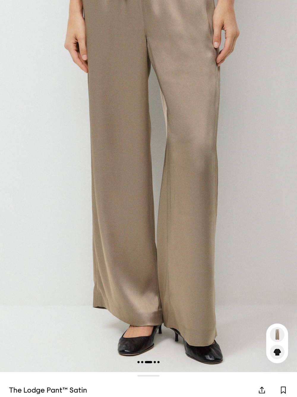 Aritzia Satin Wide-Leg Pants in Taupe